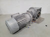Gear Reducer Ratio 200:1 w/ 1/4 hp Motor, Type SK 1SIS50/H10L-IEC63-63L/4CUSTF