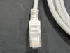 CAT5E UTP Patch Cord, 28AWG, 4PR, 2 ft, (Box of 50)