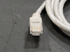 CAT5E UTP Patch Cord, 28AWG, 4PR, 2 ft, (Box of 50)