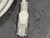 CAT5E UTP Patch Cord, 28AWG, 4PR, 2 ft, (Box of 50)