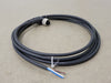TELEMECANIQUE XZCP1241L2 Pre-wired Connectors, Elbowed Female, M12, 4 pins, Cable (Lot of 4) 