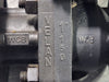 VELAN 1in. Class 150 Flanged Ball Valve W330 w/ EMERSON FieldQ Actuator